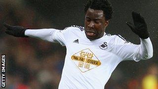 Swansea City striker Wilfried Bony