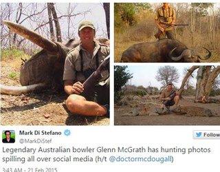 Glenn McGrath Twitter reaction