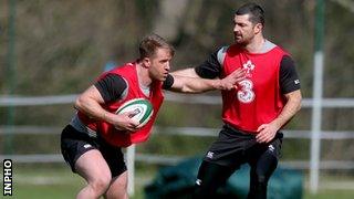 Luke Fitzgerald makes long-awaited comeback for Ireland on Saturday