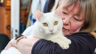 A white cat is looking at the camera as she is being hugged by a woman with grey hair. The woman is wearing a dark-coloured jumper.