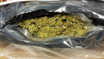 A close up image of the loose cannabis stuffed inside one of the pillow cases, in a plastic bag.