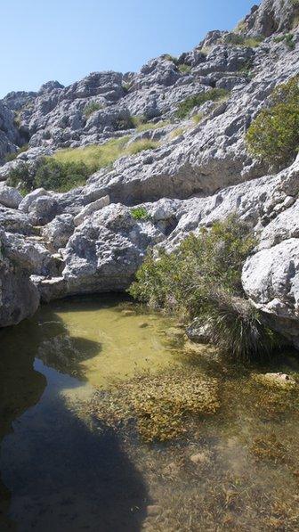 Mallorca study area