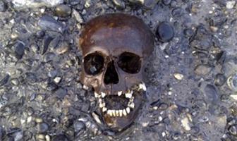 Skull in mud