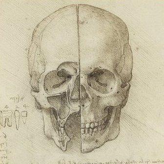 The skull sectioned 1489, courtesy Royal Collection