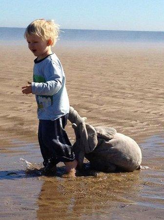 James with Mr Elephant