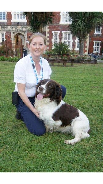 Narcotics search dog handler Julie Traynor kneeling on the grass in front of Springfield Hospital, with drugs search dog Paddy, a brown and white springer spaniel