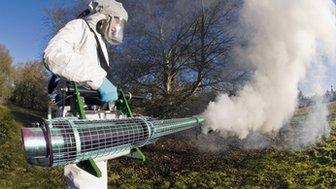 chemical spray