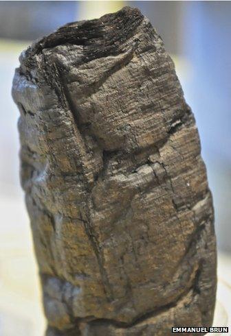 close-up of a scroll from Herculaneum