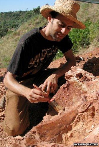 excavating the fossil