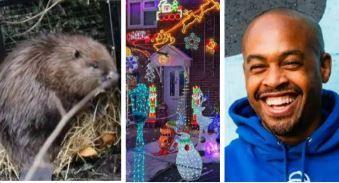 Three images in a composite, with a beaver on the left, Christmas decorations in the middle, and Ryan Panchoo on the left