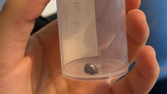 A small silver pellet, about half a centimetre across, in a plastic pot.