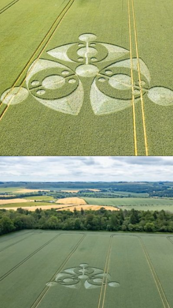 Aerial images of crop circles in fields