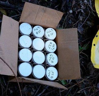 Samples taken from the search are being analysed