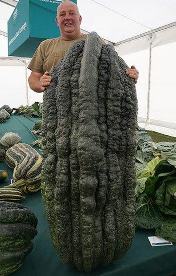 World's Heaviest marrow