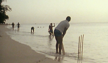 Cricket on the beach