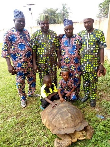 Two children and men with the tortoise