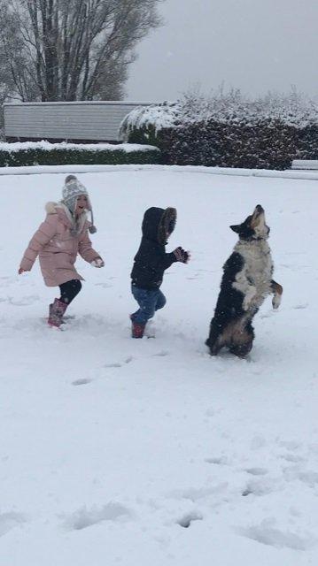 Two kids and a dog