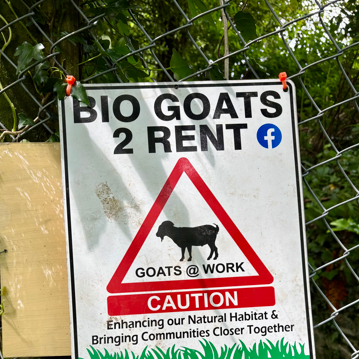 A sign which reads bio goats 2 rent. Under is a red triangle with a picture of a goat which says goats @ work.
