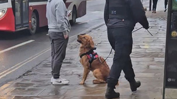 There is a road on the left hand side, with a red bus coming towards the image. On the right is a wide pavement, which shows a police officer in all black walking a golden-coloured dog, which is sitting and staring at a man. 