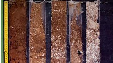 A row of five clear pipes - each filled with soil in differing shades of brown. There is a yellow tape measure to the left
