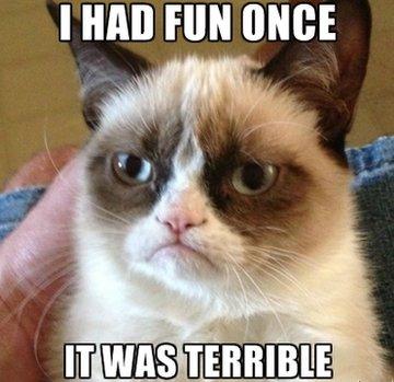 Grumpy cat