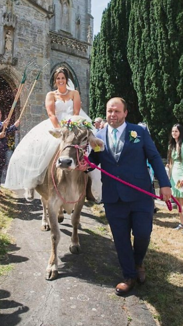A bride riding a cow next to the groom outside a church