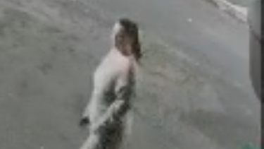 A slightly blurry CCTV image of a woman in a street wearing what appears to be cream or grey clothing