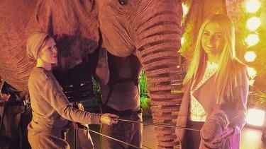 Amber (right) standing next to a puppet elephant, with stage lights behind her. An actor is standing to the left holding two sticks, to move the elephant, that is a large prop. The elephant is brown, with a large trunk, and she is wearing all brown, with hat on. Amber has on a boat, over a white top and dark trousers. She has long blond hair. 