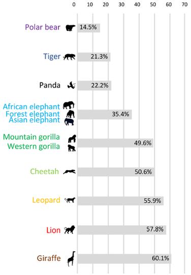 A chart showing that 60 per cent of people did not know giraffes were a vulnerable species