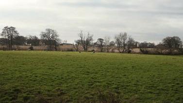 Farmland - green grass and a line of trees in the distance with a field of hay 