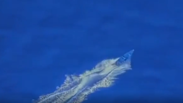 Screengrab from a video that shows a speedboat which President Donald Trump says was attacked in a US strike