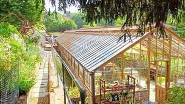 The long Alexandra Park Greenhouse by day surrounded by plants, with gravel pathways either side. 