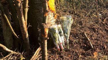 Several bunches of flowers at the scene of the crash, propped up against a tree, which is bathed in sunlight