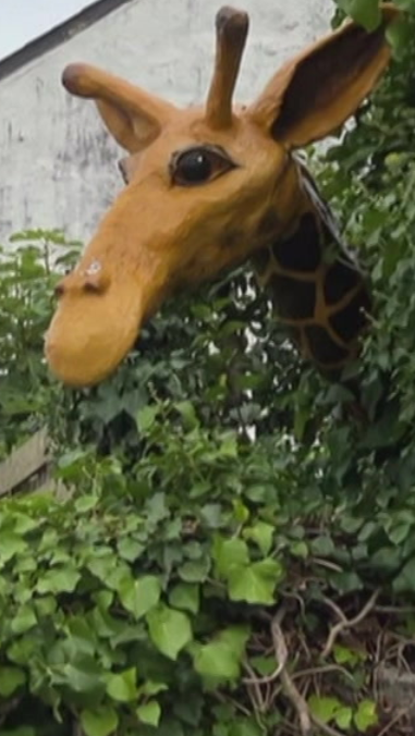 Before Julian was broken his head stuck out about 2.4 m (8ft) over Valerie's garden wall and was visible to motorists on the busy A30