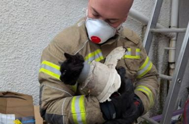 A firefighter in a khaki uniform with luminous yellow patches holds a cat that is partially stuck inside a piece of piping