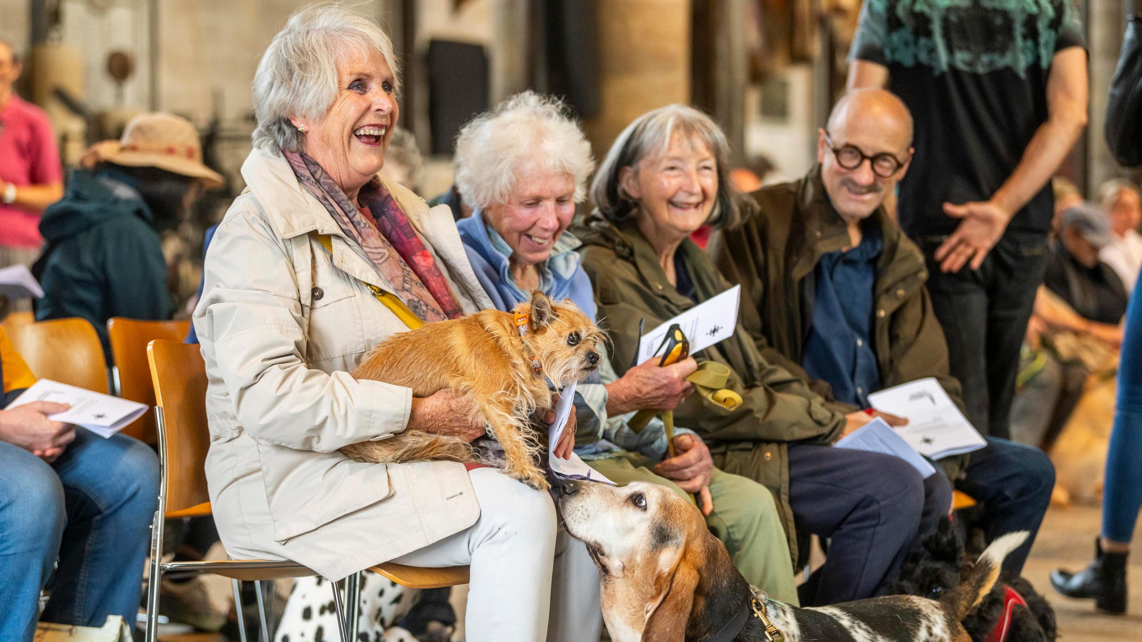 A group of older people - three women and a man - sit and laugh at a pet blessing service inside a cathedral. There is a small, tan-coloured, scruffy dog sat on the lap of one woman, which is being sniffed by a Basset hound.