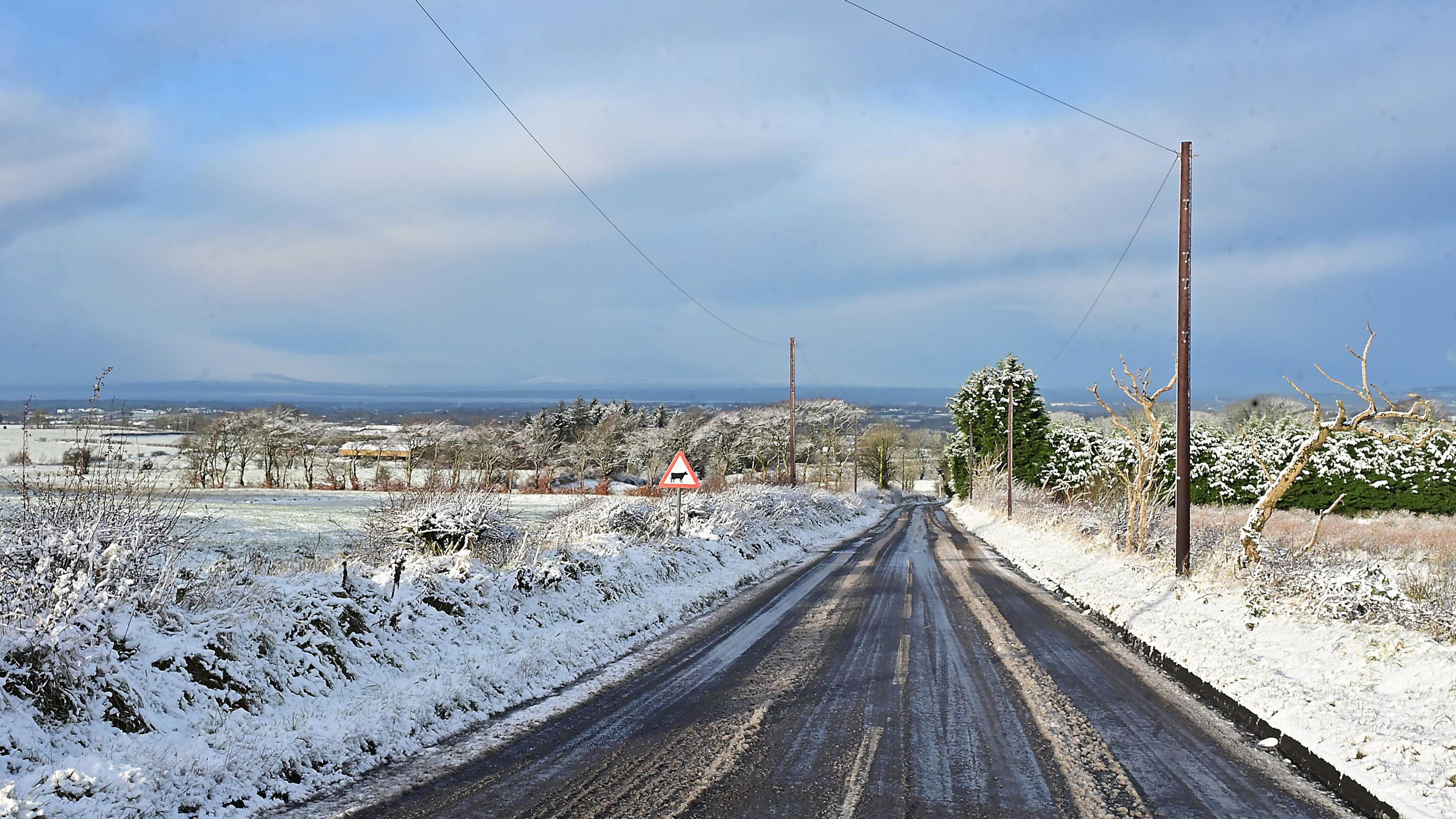 A country road with surrounding fields and trees covered in snow, the sky is blue with some clouds.