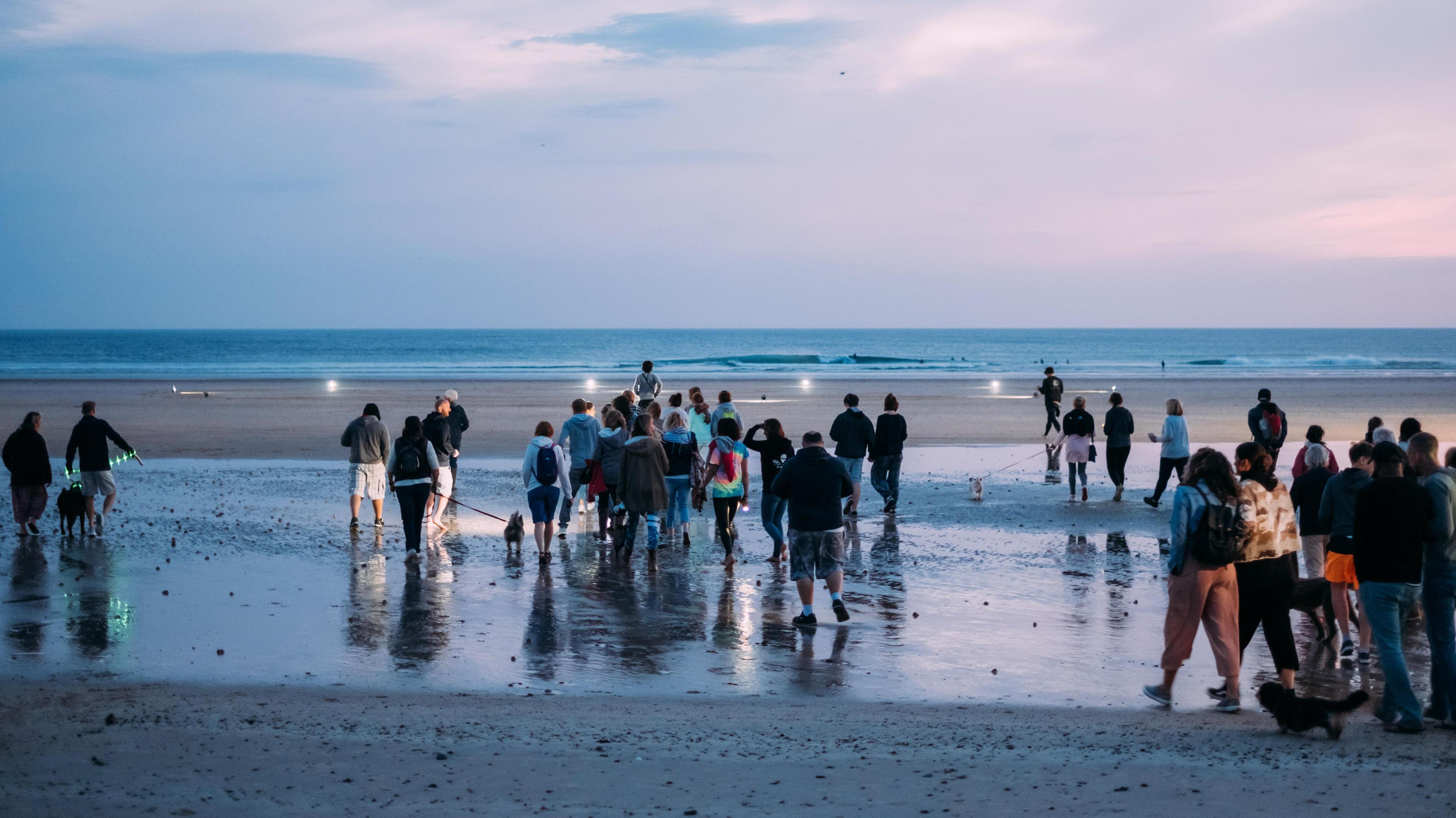 A large group of people walk along a beach towards the sea at sunrise or sunset. Their backs are to the camera.