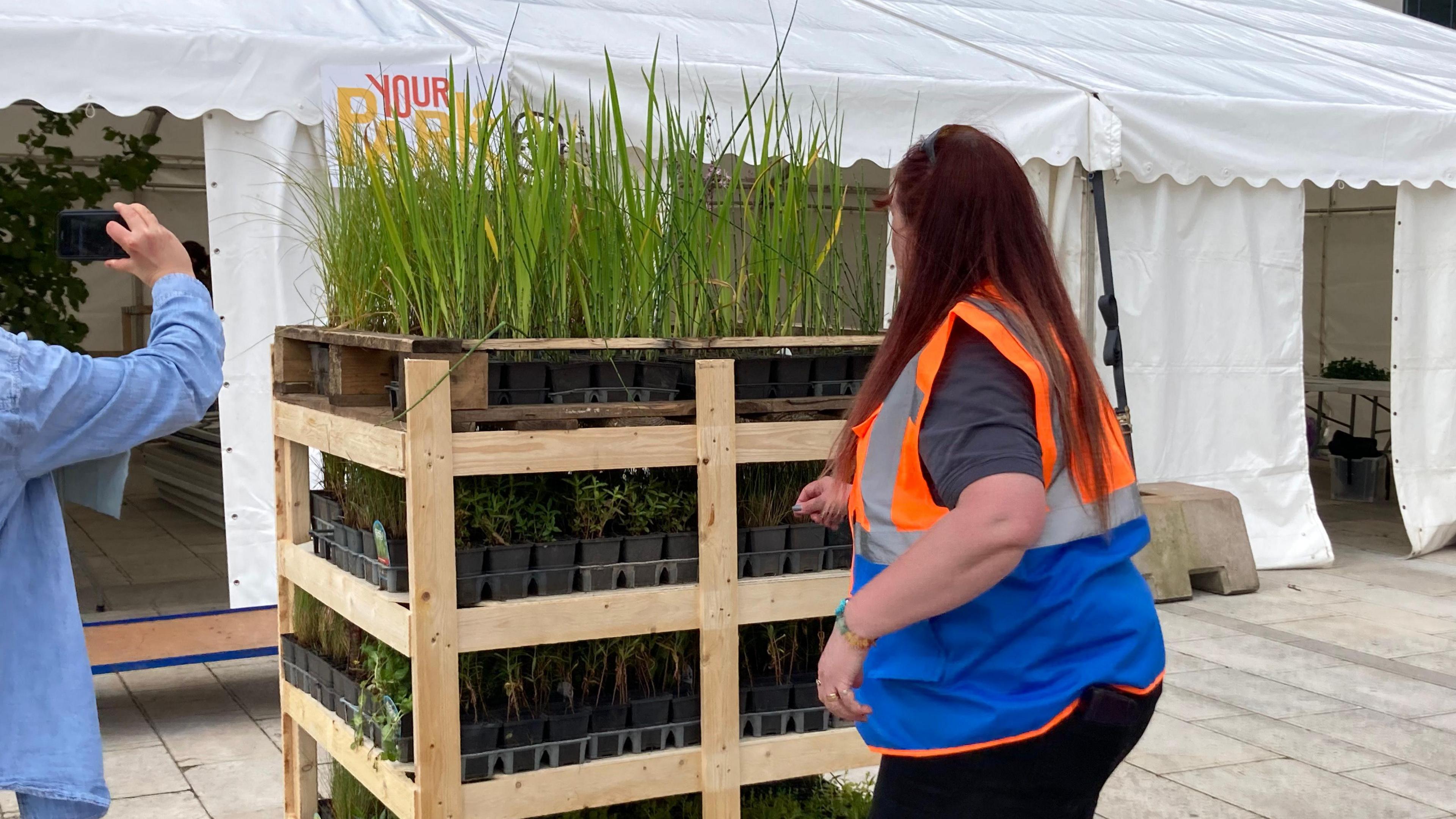 A tall crate of plants with someone standing nearby and someone taking a photo on their phone