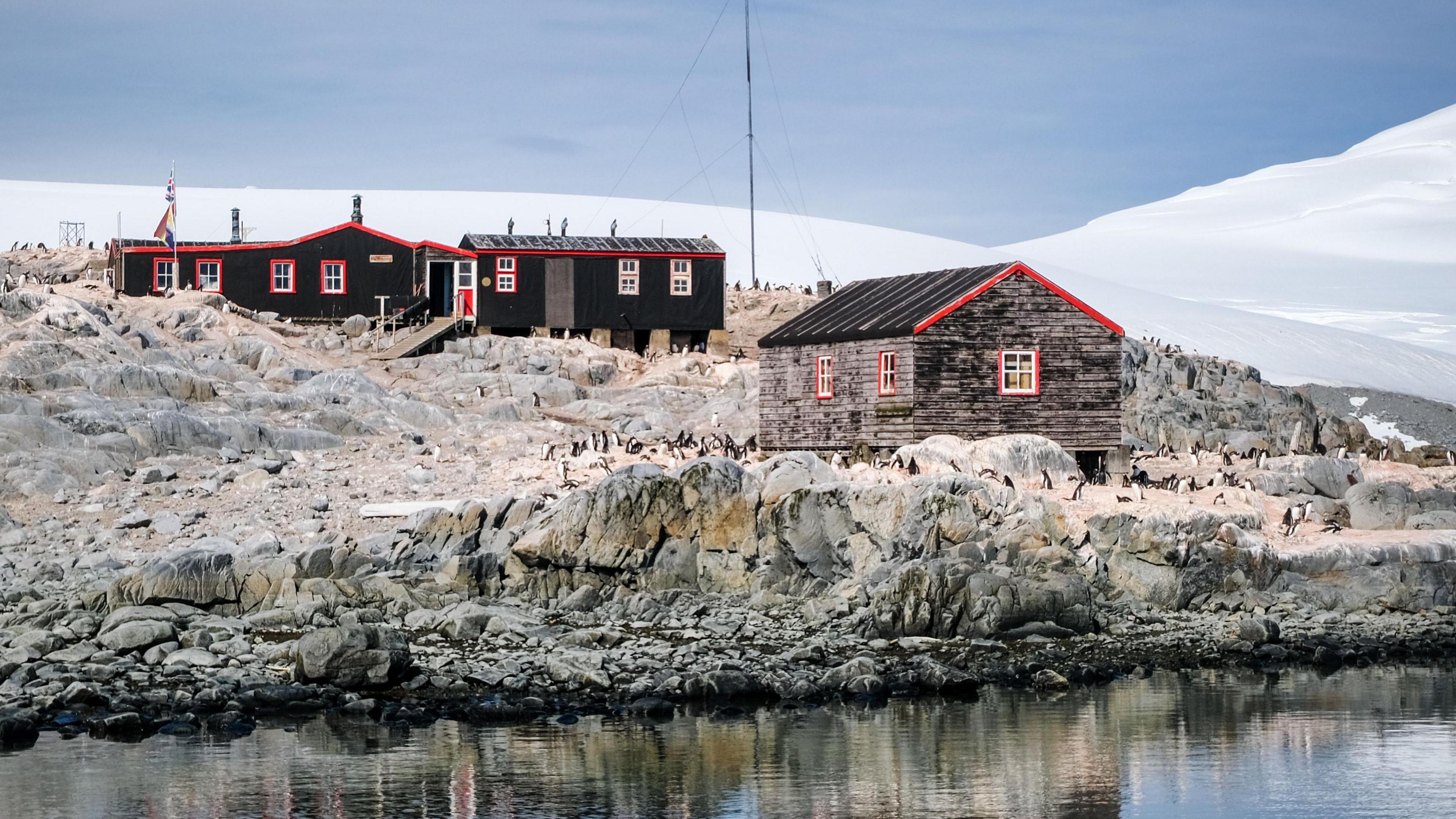 A wide view of the huts and and penguins on the island. They are all on rock close to the water's edge with icebergs in the background.