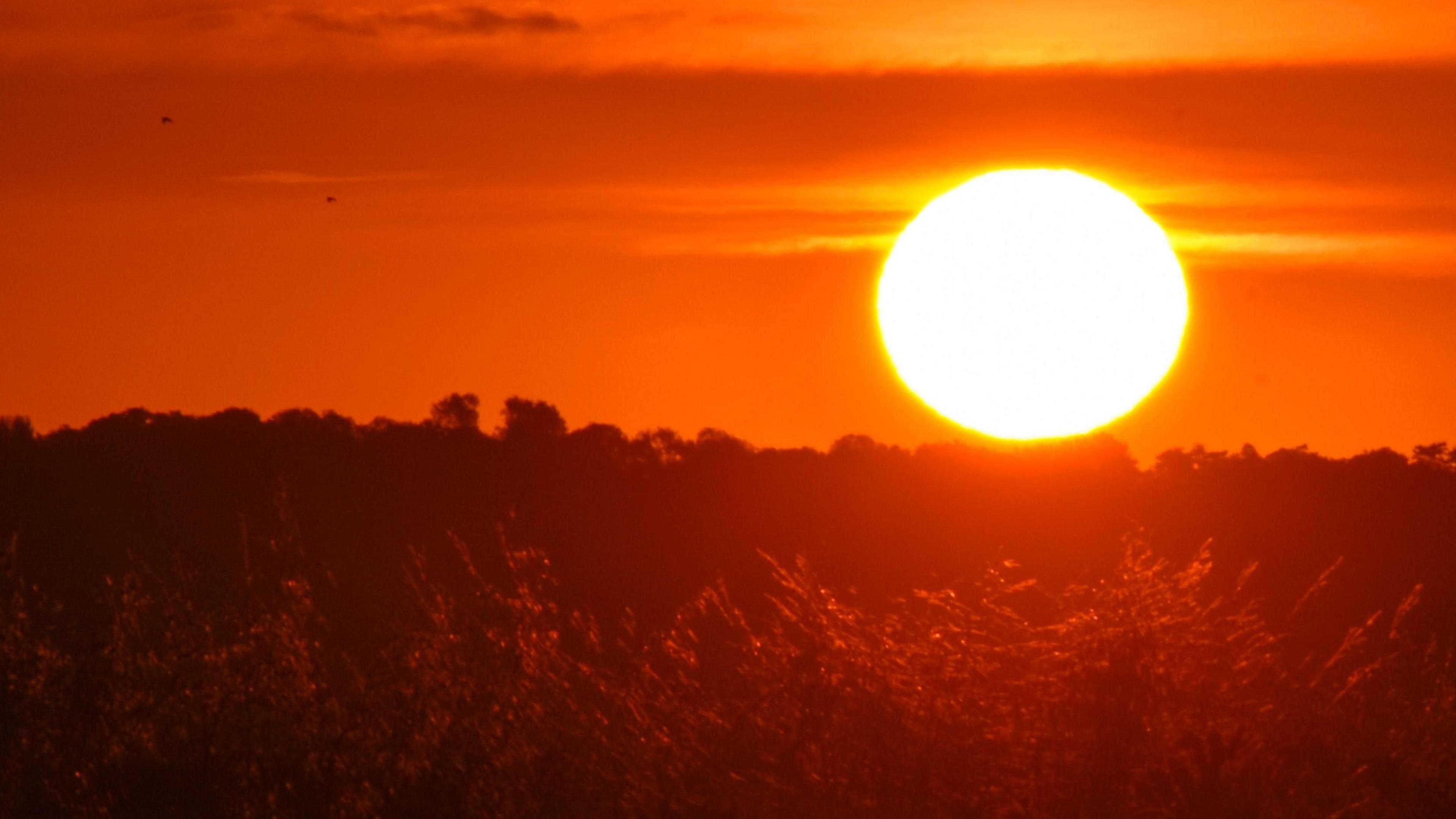 The sun has just risen above the horizon and glows bright orange across the landscape illuminating bushes in the foreground