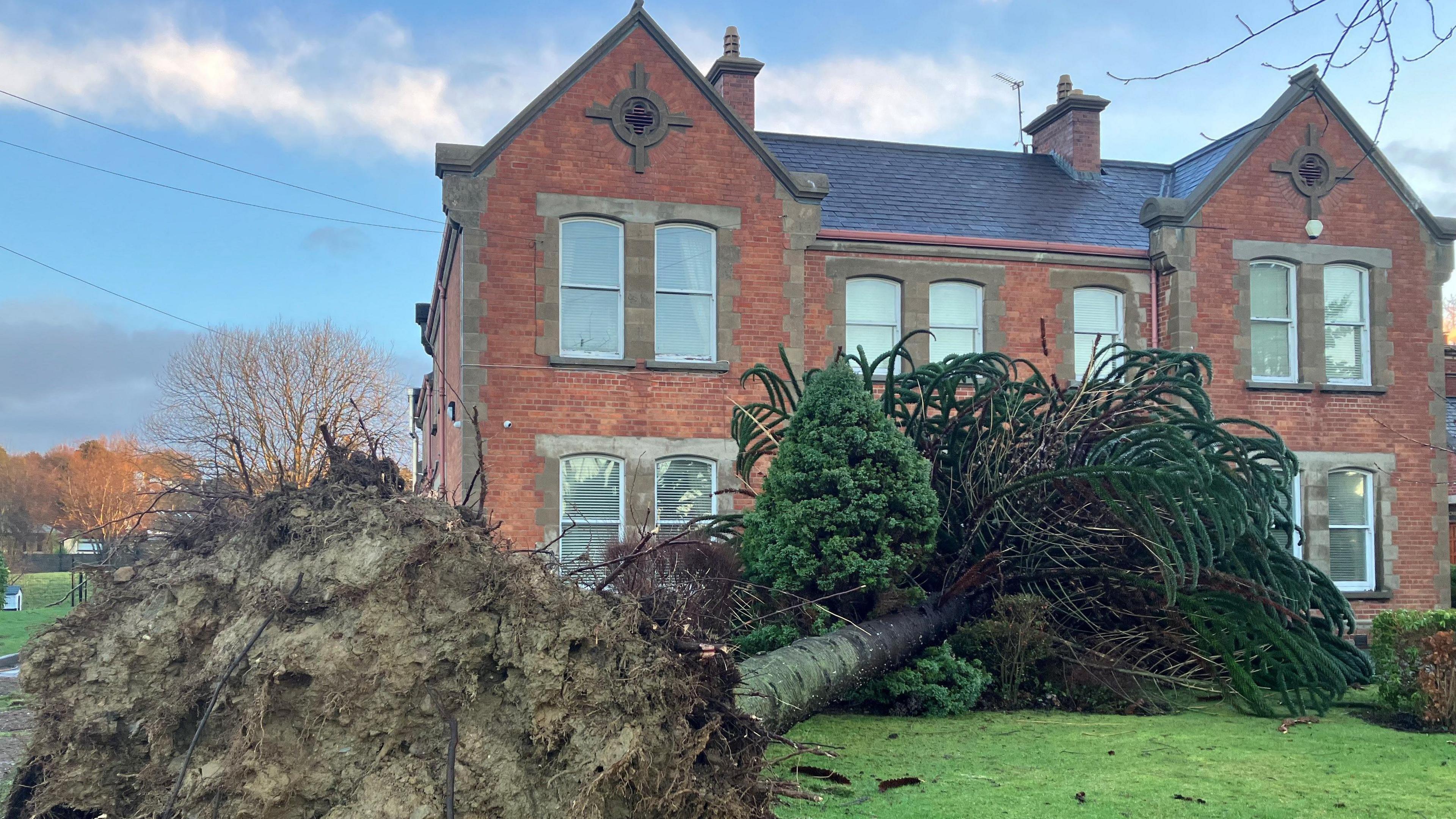 A large tree is lying on the ground outside a red brick building. There are branches lying about.