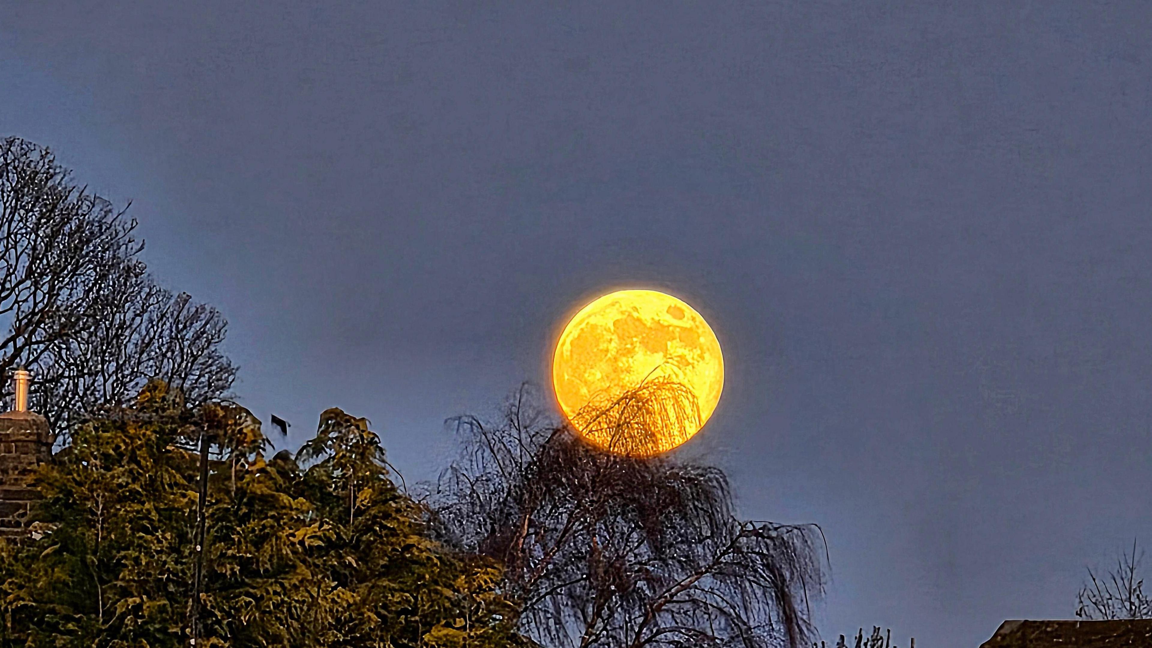 A bright orange supermoon shines over Yorkshire slightly shrouded by trees 