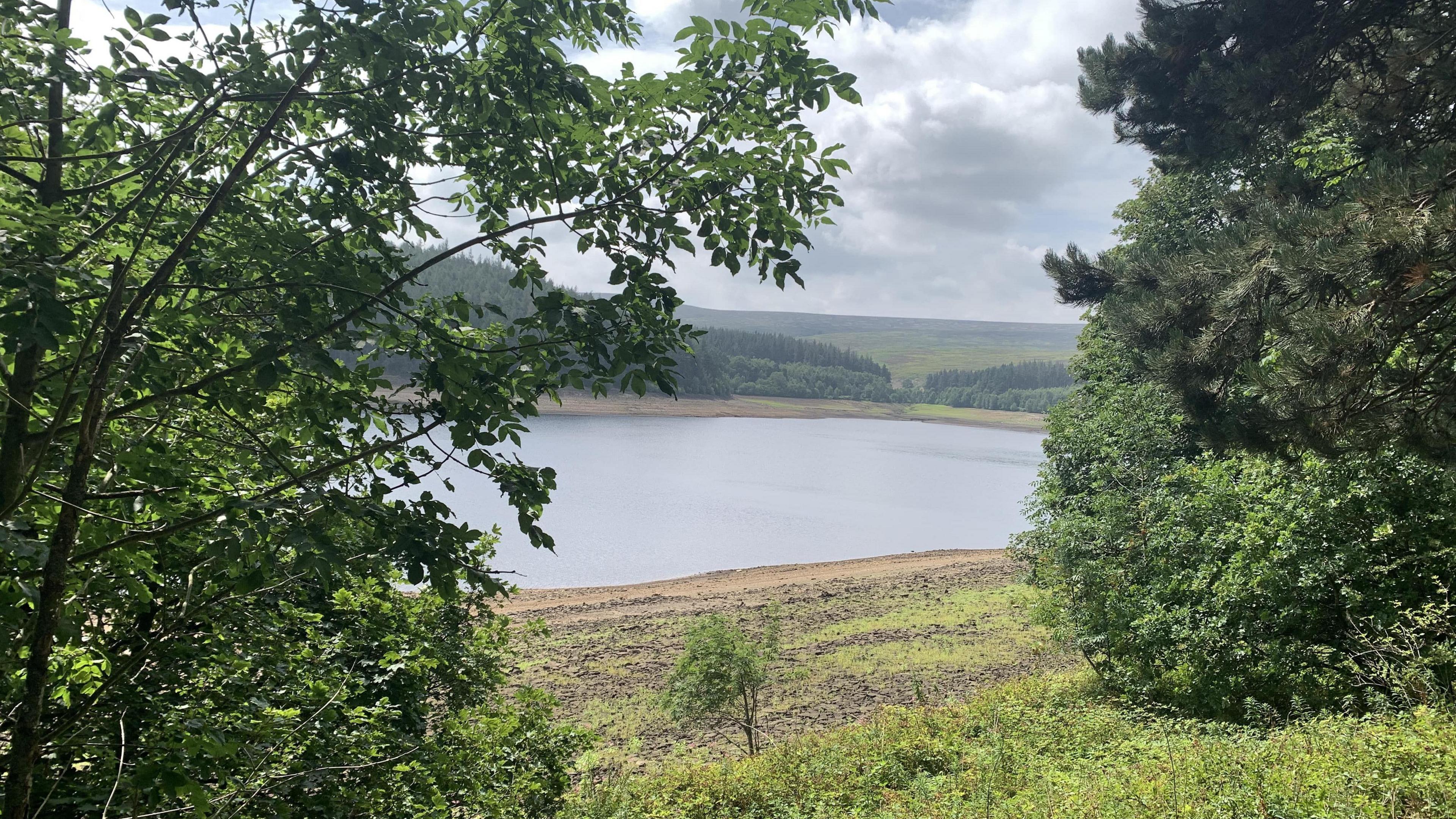 A picturesque reservoir pictured from between two large trees. A grass bank leads onto the water. More trees and grassland can be seen in the far distance.