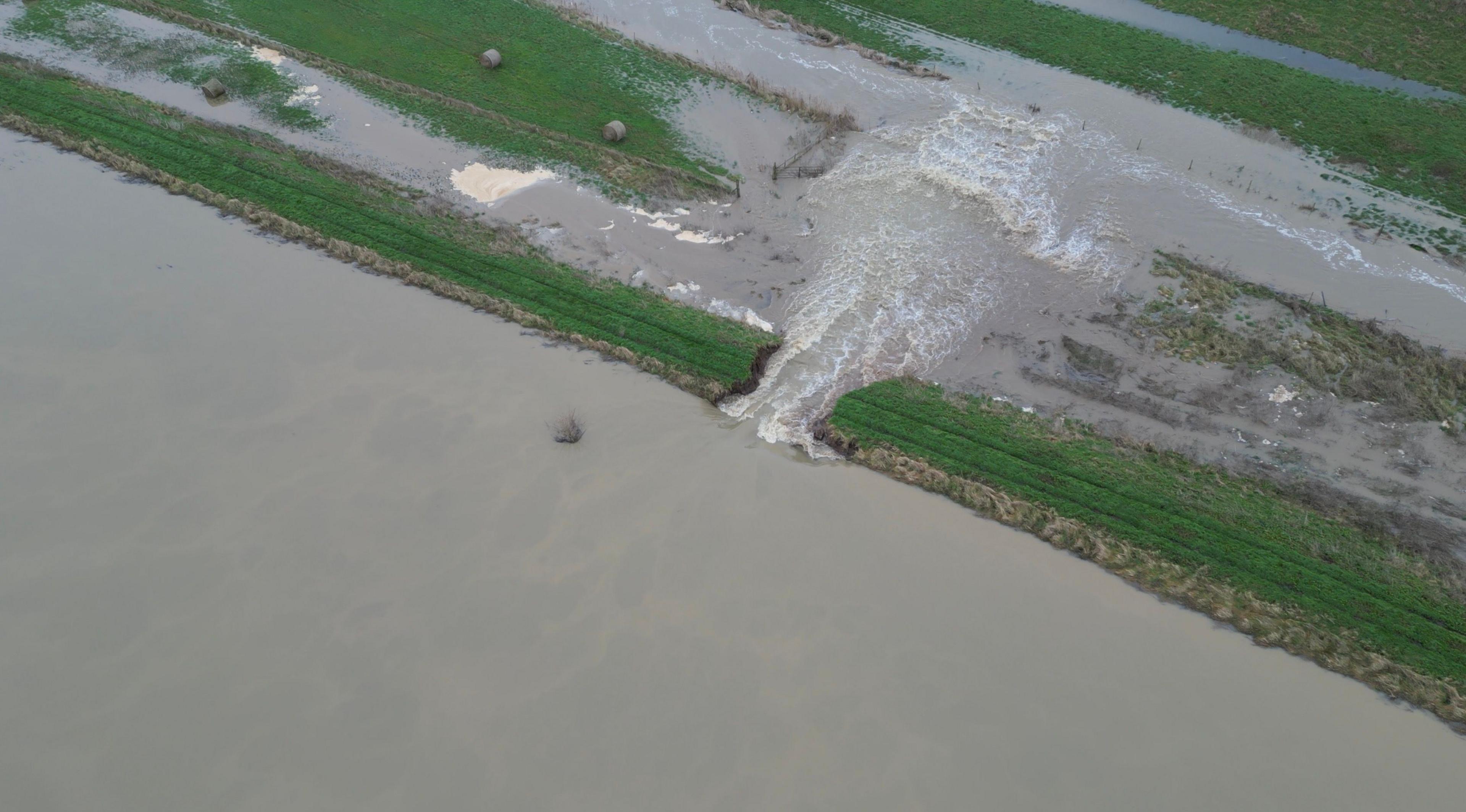 An overhead picture of the breach in the River Welland at Crowland. Water can be seen gushing through a gap that has emerged in the riverbank and into the field beyond. 