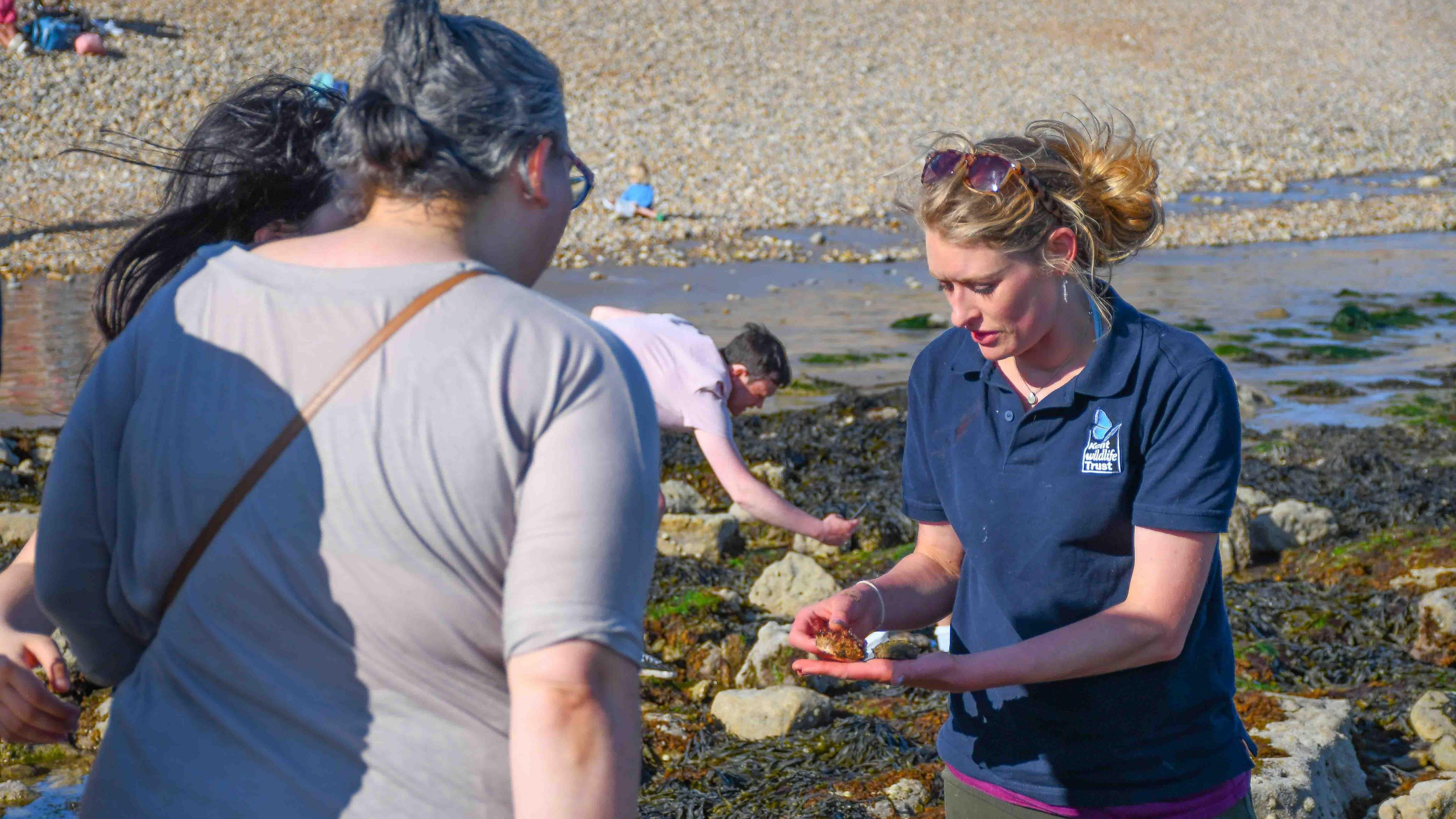 A woman wearing a Kent Wildlife Trust t-shirt shows people marine wildlife