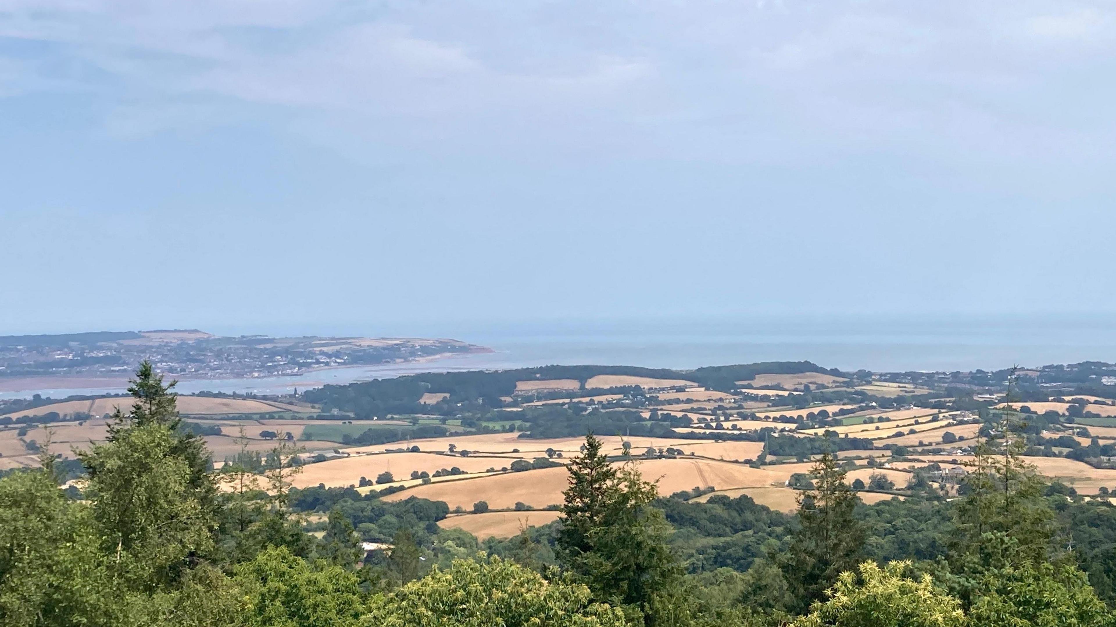 A picture of Starcross in Devon. In the foreground around green trees. There are brown fields in the middle ground and in the background is the sea. The sky is grey. 