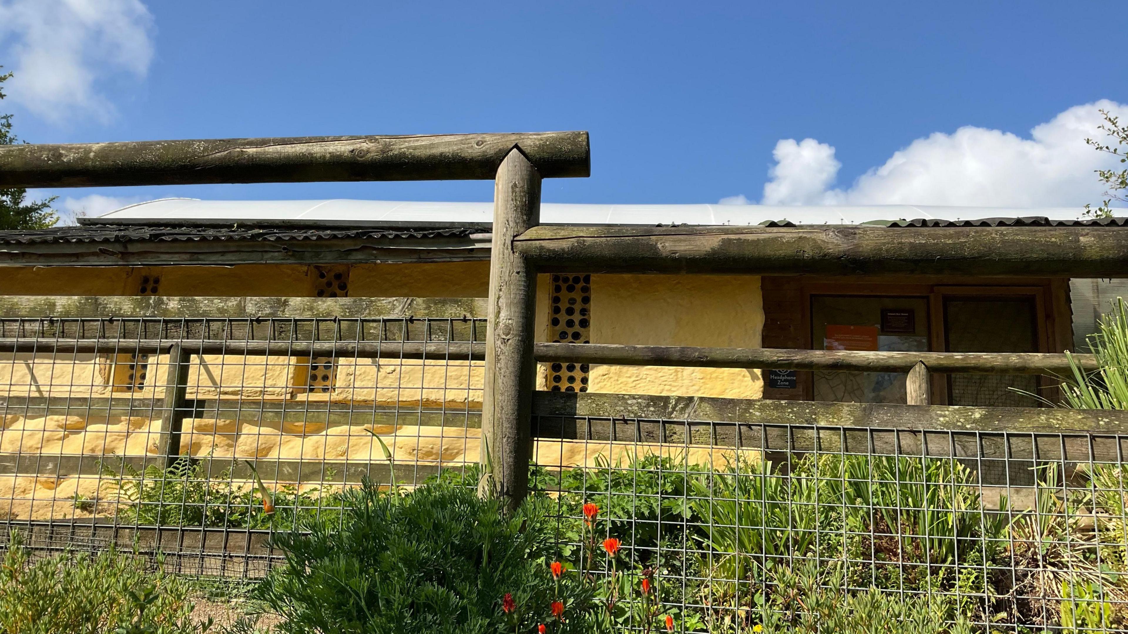 The bat enclosure at Jersey Zoo. There is a wooden fence in the foreground and the bat enclosure is behind it. It is a yellow single-storey build and that has three rectangular bat bricks which have many small holes in them. There is also a closed wooden door.