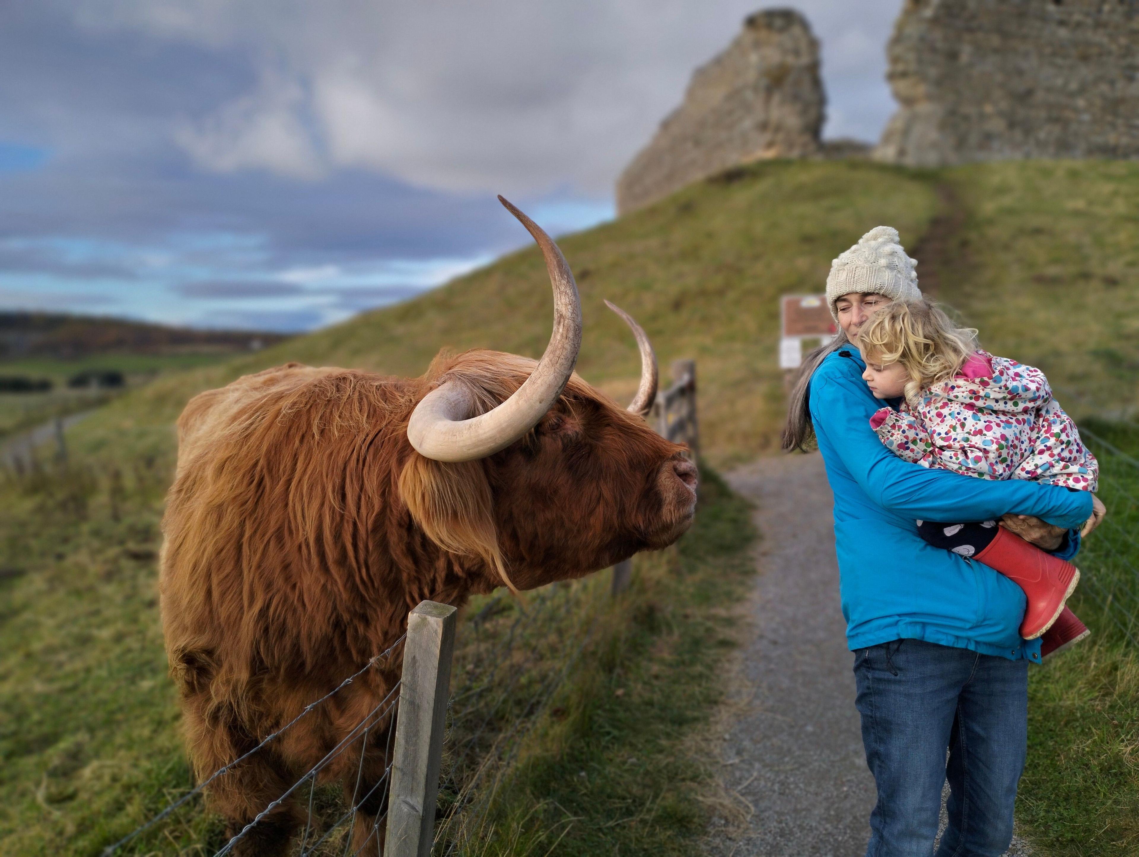 A woman holding her daughter looks at cattle in a field