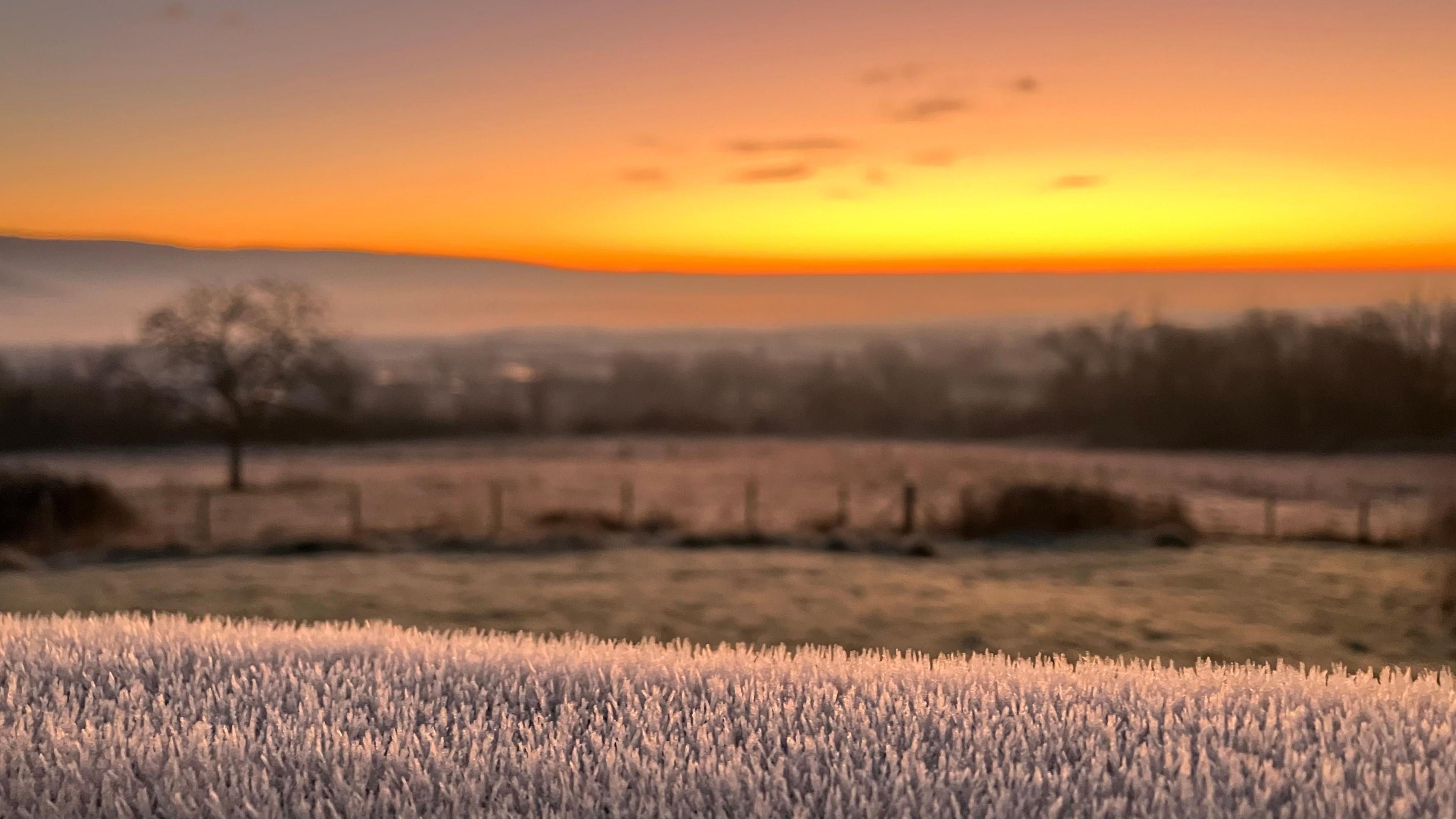 A sunrise over Wedmore in Somerset. The skyline is glowing with orange and yellow and the grass is tinted white with frost in the foreground. 